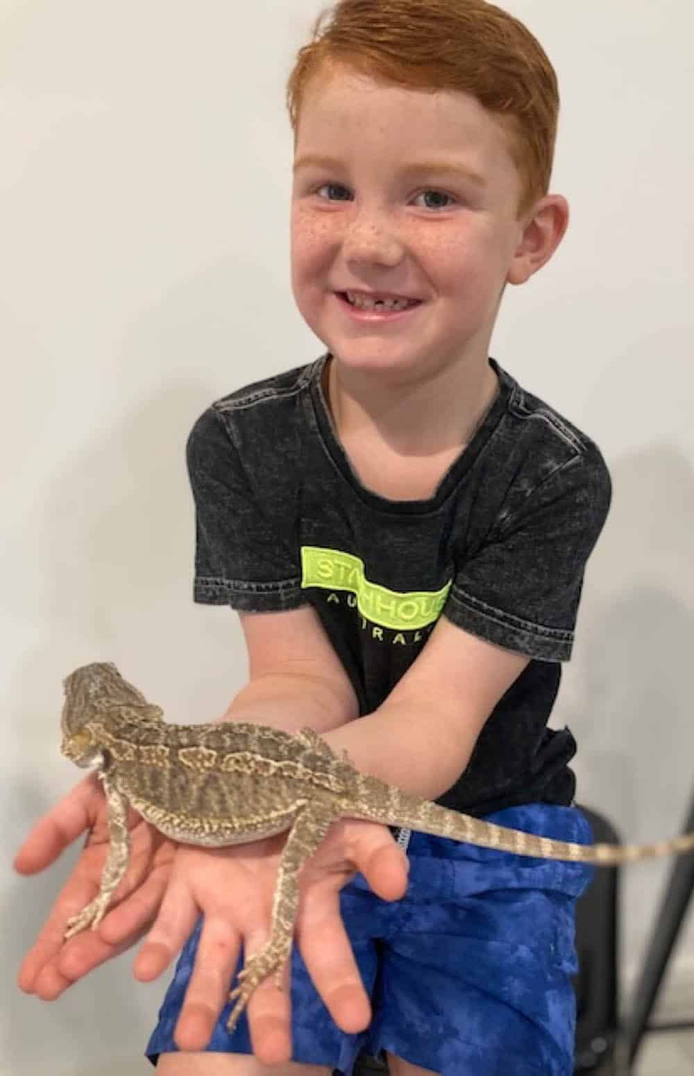 Young Boy Holding a Lizard — Frozen Feeders in NSW