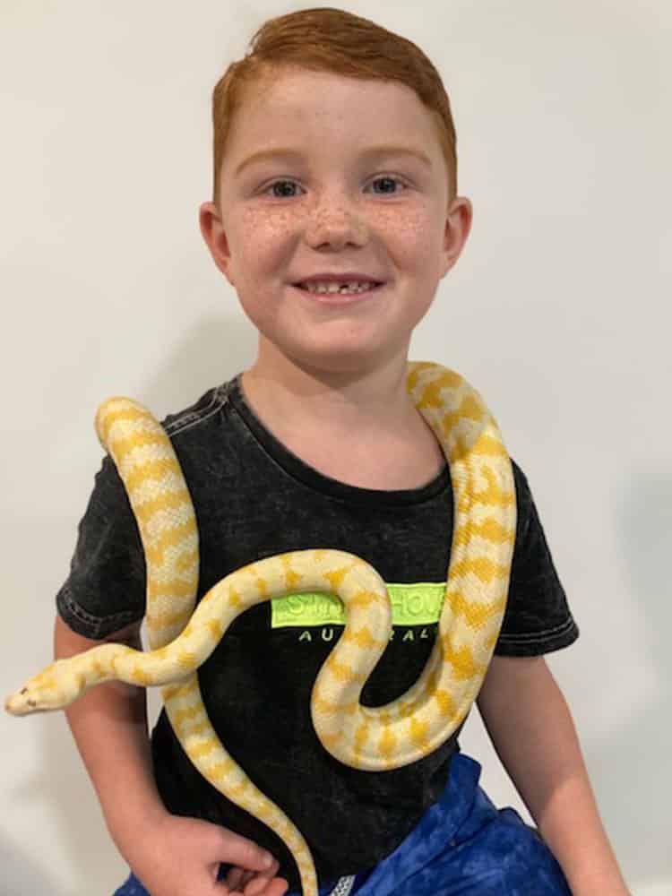 Young Boy with Albino Python — Frozen Feeders in NSW