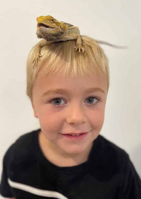 Lizard on Young Boys Head — Frozen Feeders in NSW