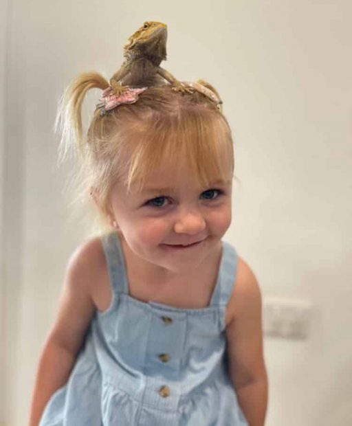 Lizard on Little Girls Head — Frozen Feeders in NSW