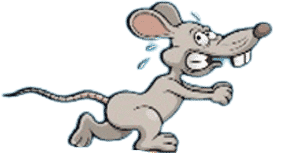 Rat Running — Frozen Feeders in NSW
